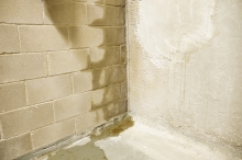 wet basement walls