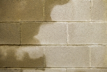 moisture in basement on cement wall