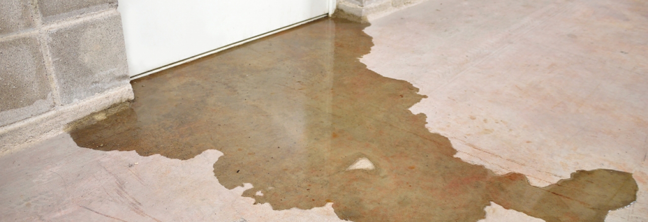 Wet Basement Or Crawl Space, Best Way To Dry Up Water In Basement