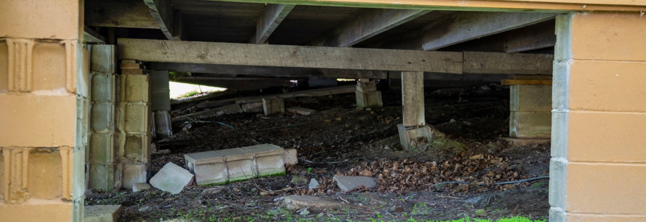 The Effects of Neglecting Your Crawl Space blog header image 